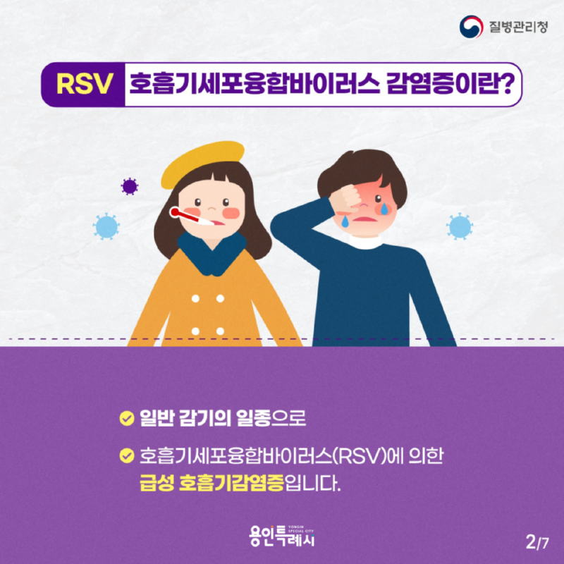 KDCARSV호흡기세포융합바이러스카드뉴스-2.png